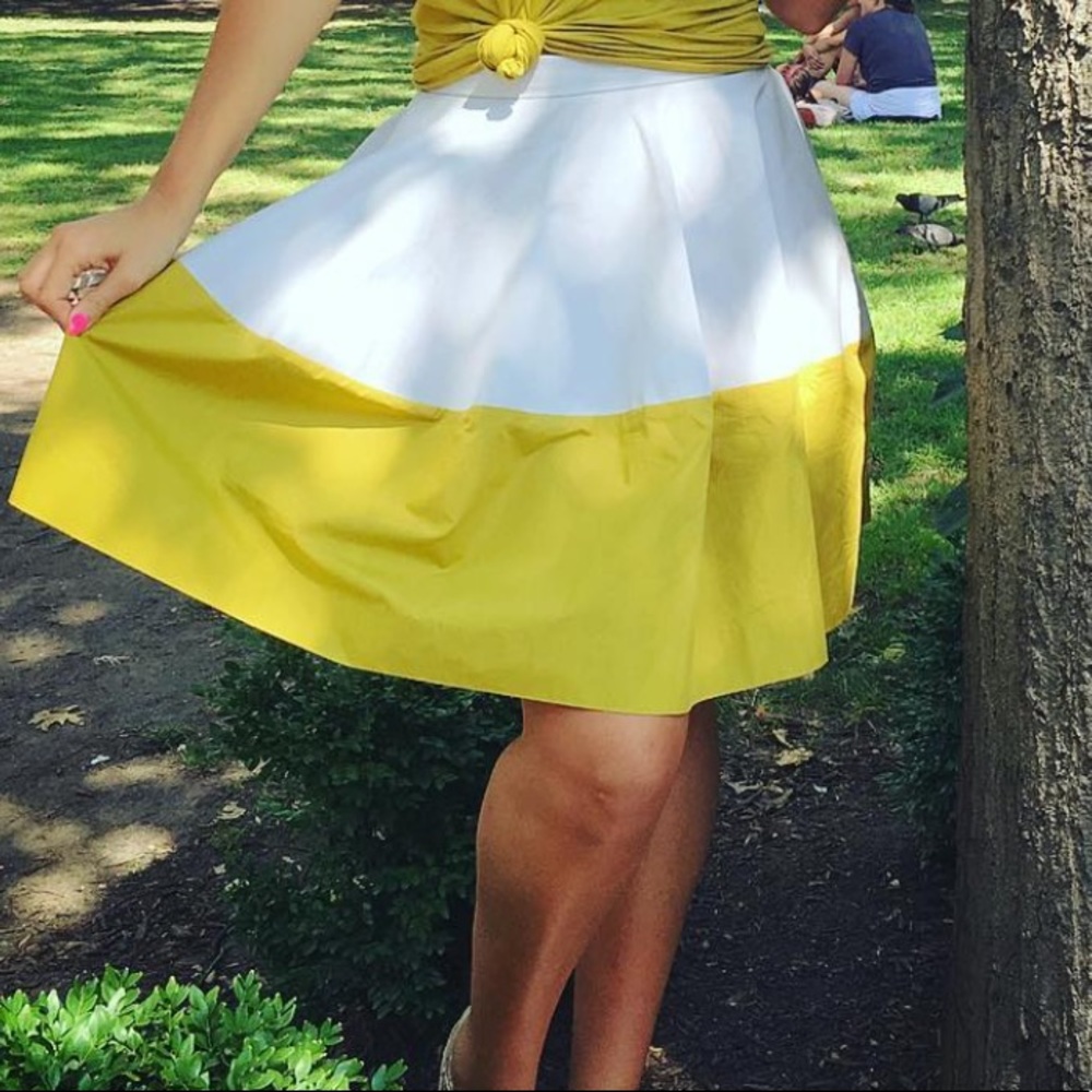 Cos Color Block Skirt Size 6 - image 1